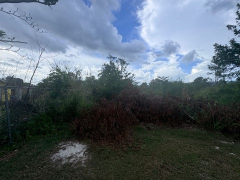 Picture1