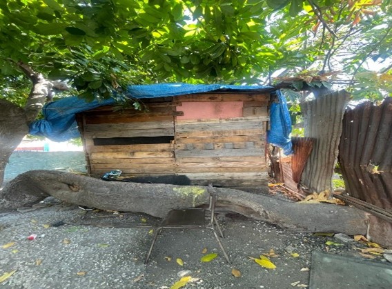 Picture2