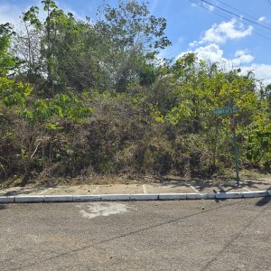 Wilson’s Avenue, Napa Heights Residential Lot