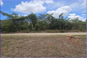 St. John’s Heights Residential Vacant Lot