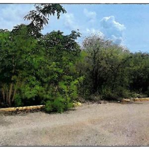 Spanish Ridge Drive, Kitson Town Residential Lot