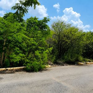 Spanish Ridge Drive, Kitson Town Residential Lot
