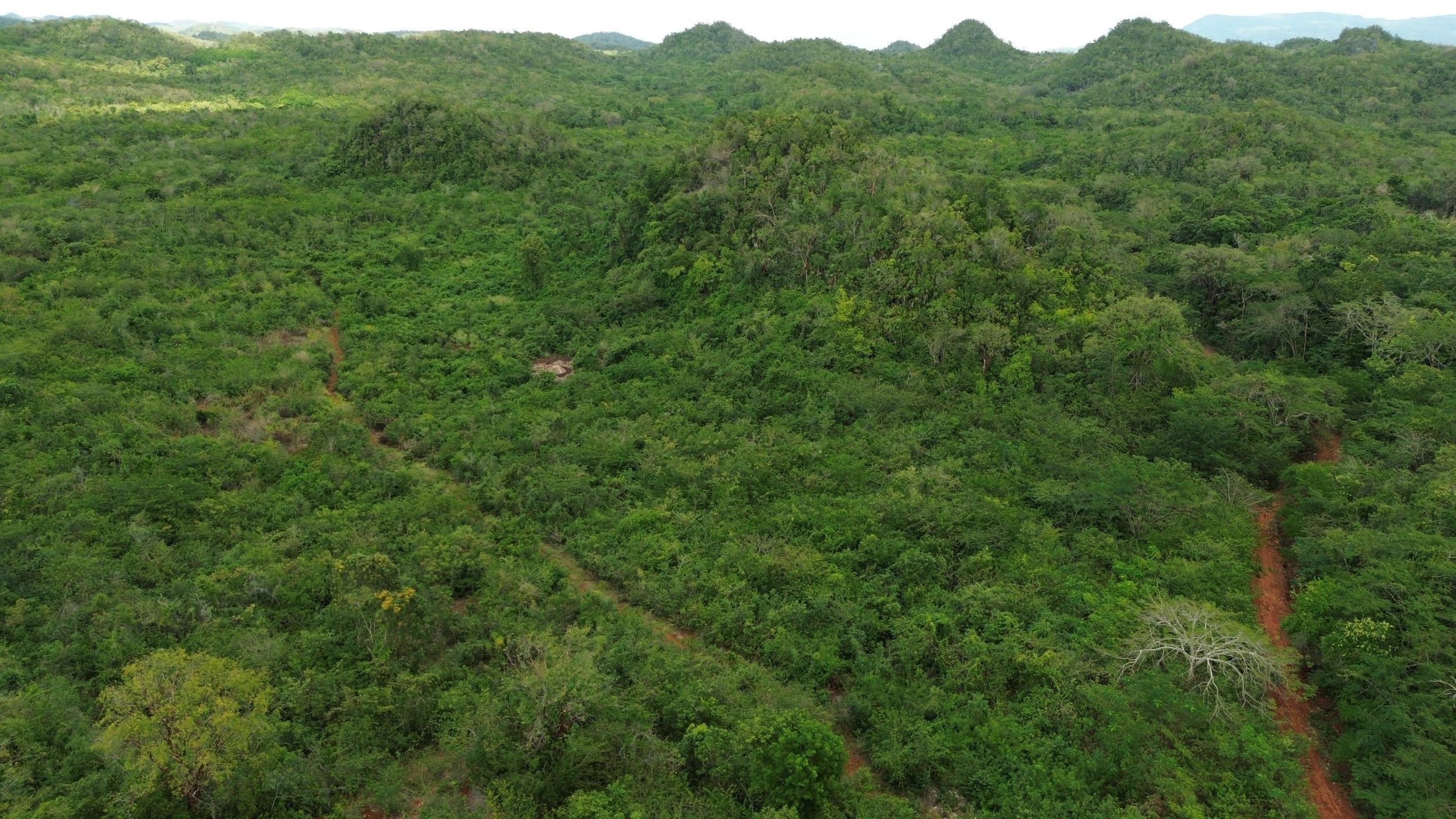 Land known as Moxam Mountain (Farm Land) - Image 5